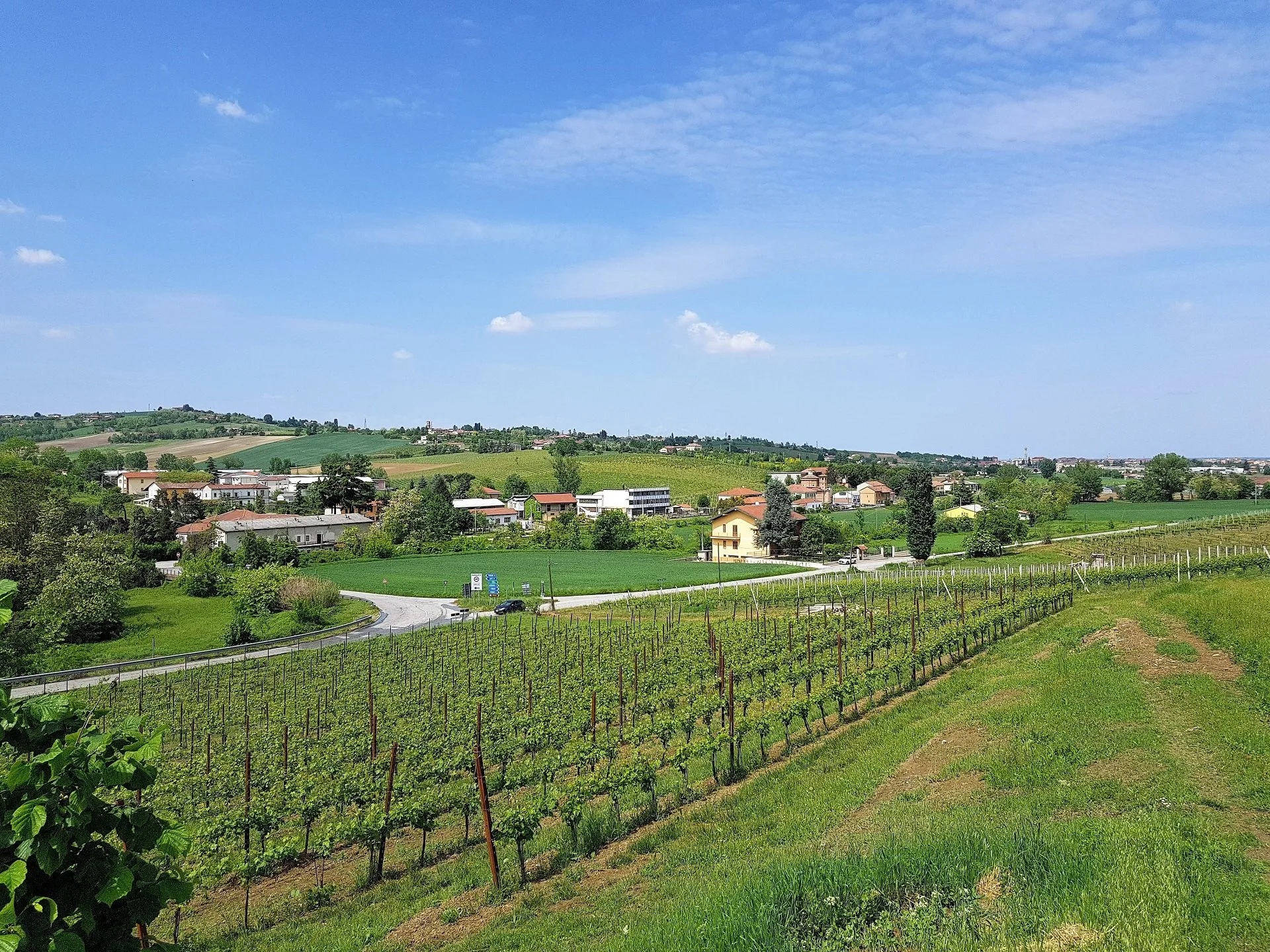 Colline del Monferrato