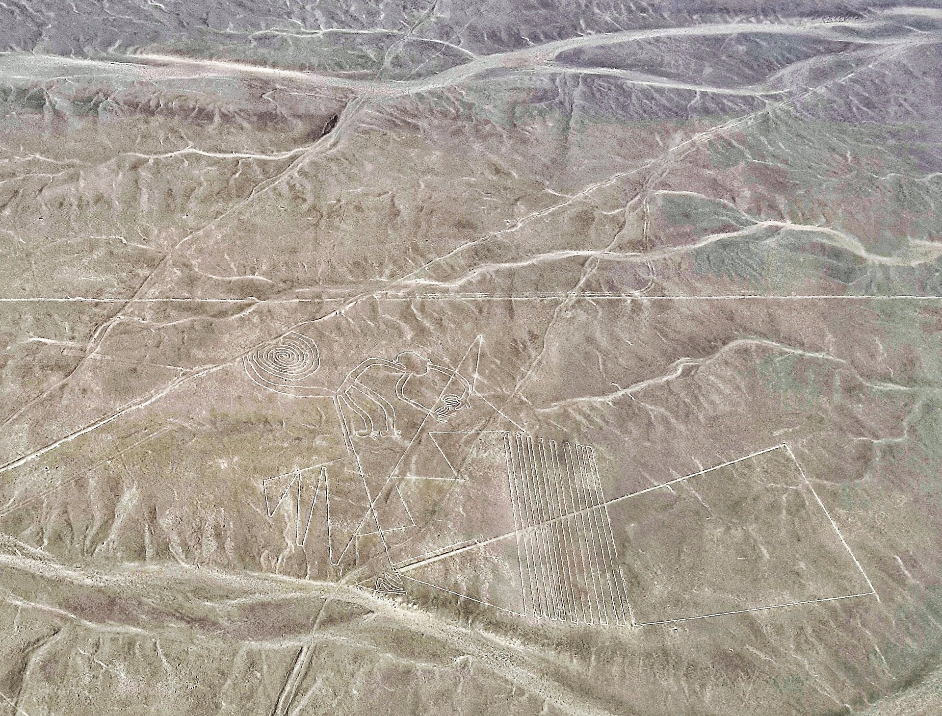 Linee di Nazca - Scimmia